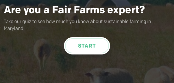 Quiz: Are You a Fair Farms Expert?