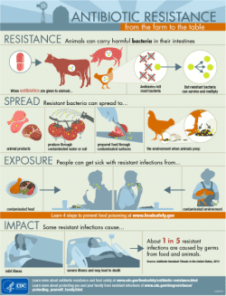 CDC Antibiotic Resistance Infographic
