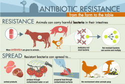 CDC Farm to Table Antibiotic Resistance